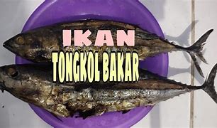 Ikan Tongkol Bakar Sambal Kecap